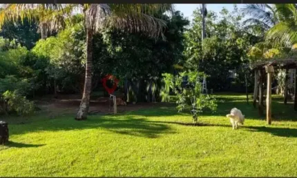 Chácara / sítio com 3 quartos para alugar no Sítios de Recreio Letícia (Padre Nóbrega), Marília 