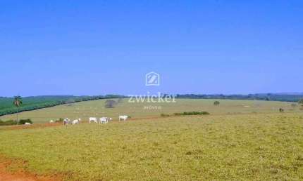Chácara / sítio com 2 quartos à venda na Zona Rural, Duartina 