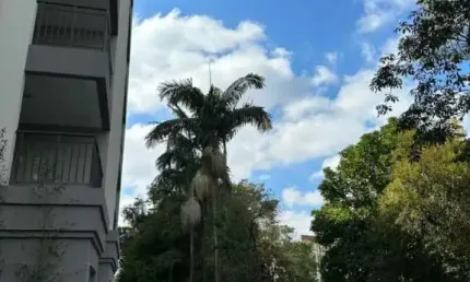 Apartamento com 2 quartos à venda na Rua Pereira Barreto, 159, Santo Amaro, São Paulo