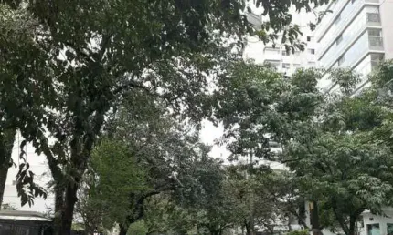 OPORTUNIDADE ÚNICA, CONJUNTO COMERCIAL COM 70 M²  REFORMADO