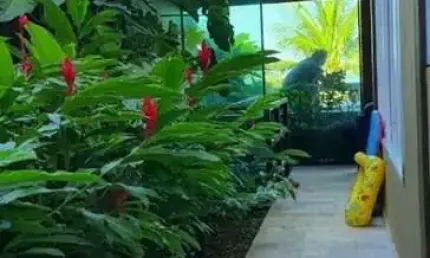 Casa em condomínio fechado com 5 quartos para alugar na Avenida Mãe Bernarda, 3462, Juquehy, São Sebastião