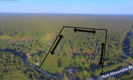Área à venda, 186517 m² por R$ 2.500.000,00 - Colonia Maria Luiza - Paranaguá/PR