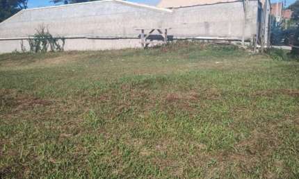 Terreno à venda, 800 m² por R$ 115.000,00 - Bairro Nova Califórnia - Cabo Frio/RJ