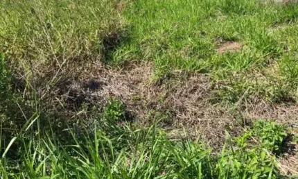 Terreno à venda na Alameda Casimiro de Abreu, Centro, Rio das Ostras