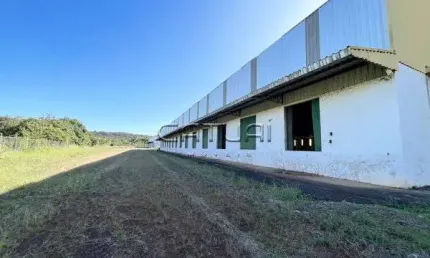 Barracao Comercial para locação - Comercial Conjunto Habitacional Jamile Dequech, Londrina