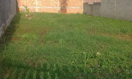 Terreno em Itanhaém – 700m da Praia, Pronto para Construir!