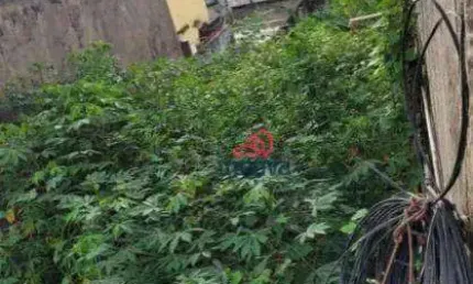 Terreno à venda, 200 m² por R$ 240.000,00 - Jardim Lenize - Guarulhos/SP