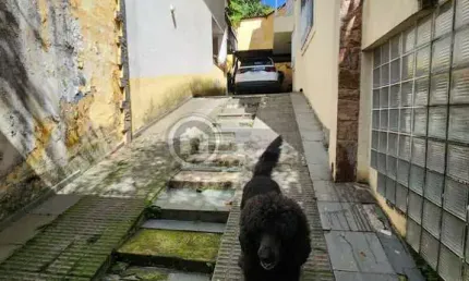 Casa com 3 quartos à venda na Rua João de Laet, Vila Aurora (Zona Norte), São Paulo