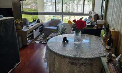 Apartamento 2 dormitórios à venda Morro Santana Porto Alegre/RS