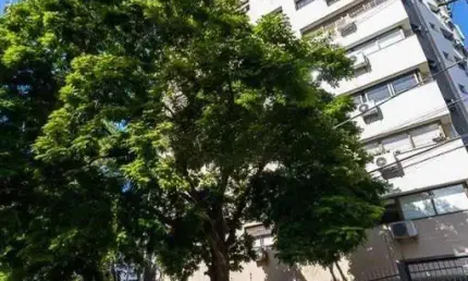 Apartamento de 2 quartos, suíte e 1 vaga de garagem no bairro jardim botânico