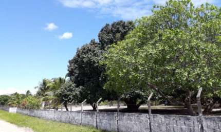 REF: TER010 - Granja à Venda, João Pessoa, Mumbaba, 2 hect., Casa c/ 3 quartos