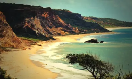Ref: ter016 - excelente área à venda, litoral sul, praia bela, 400m da praia