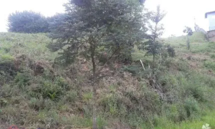 Terreno residencial à venda, serra dos lagos, cajamar - te0572.