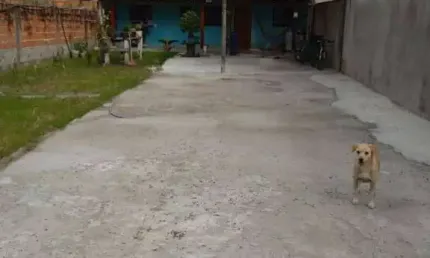 Casa com 1 quarto à venda no Pontal de Santa Marina, Caraguatatuba 