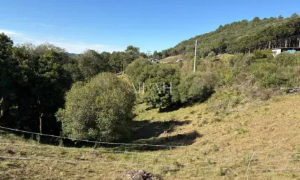 Chácara / sítio à venda na Ana Rech, Caxias do Sul 