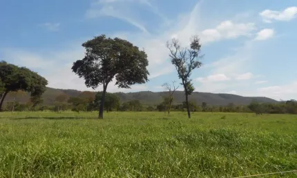 Fazenda à venda na JK, 353-B, Zona Rural, Buenópolis por R$ 21.000.000