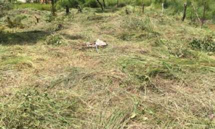 Terreno à venda na Alameda dos Cedros, Vale das Acácias, Ribeirão das Neves por R$ 120.000