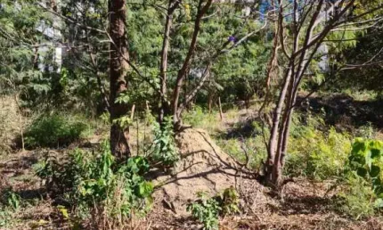 Terreno à venda na Rua Maria Mafalda, Eldorado, Contagem por R$ 460.000