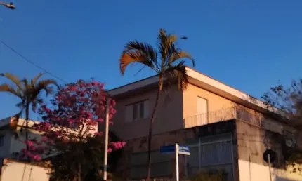Casa com 4 quartos à venda na Rua Silva Guimarães, Vila Ede, São Paulo