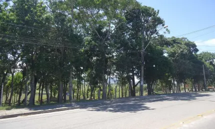 TERRENO COM 25.000m² A VENDA NO BAIRRO PEROBA EM RIO DAS OSTRAS RJ