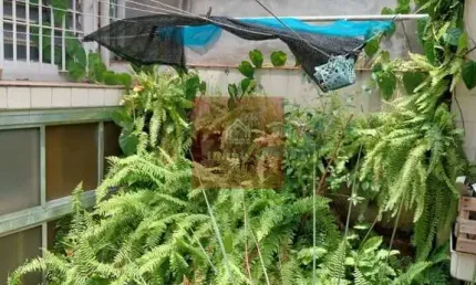 Sobrado em uma rua tranquila, próximo ao shopping morumbi, metro.
