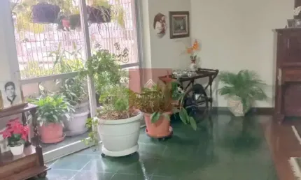 Excelente localização em moema, rua tranquila e arborizada