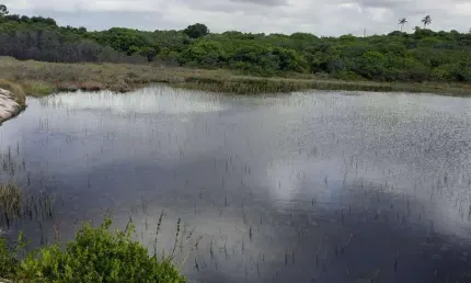 Terreno à venda na Praia do Forte, Mata de São João 