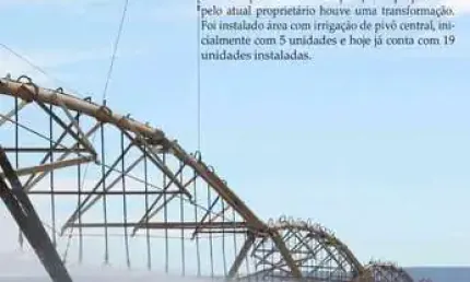 lindíssima fazenda com 10,000 hectares em plena produção com agro indústria