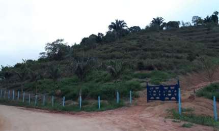Chácara / sítio com 2 quartos à venda no Centro, Santa Leopoldina  por R$ 2.750.000
