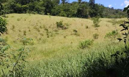 Chácara / sítio com 2 quartos à venda na Zona Rural, Santa Leopoldina  por R$ 2.650.000