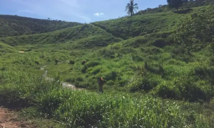 Fazenda com 1 sala à venda na Área Rural de Colatina, Colatina  por R$ 10.170.000