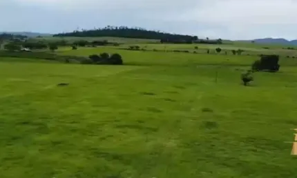Fazenda com 1 sala à venda no Teixeirinha, Teixeira de Freitas 