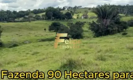 Fazenda para CAFÉ à Venda em Eunápolis Bahia 90  hectares.