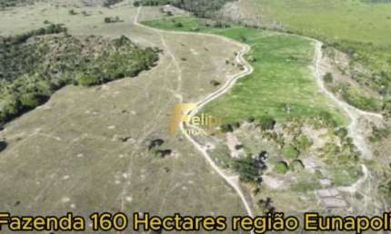 Fazenda para CAFÉ à Venda em Eunápolis Bahia 160 hectares.
