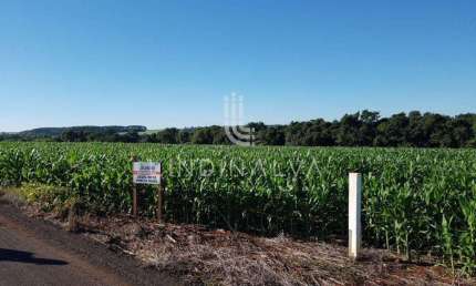 Área na Av. Felipe Wandscheer com 10.649 m2 - com mata e riacho - 15 min do Centro.