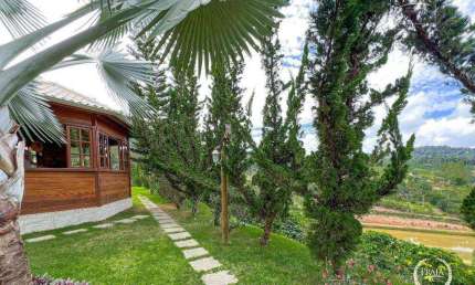 Chácara / sítio com 3 quartos à venda na Estrada Santa Teresa, Nova Lombardia, Santa Teresa