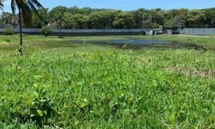 Terreno à venda, 512 m² por R$ 5.500.000,00 - Praia da Costa - Vila Velha/ES