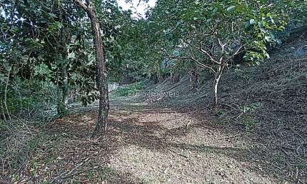 Terreno à venda na Avenida Prefeito Mello Reis, Aeroporto, Juiz de Fora
