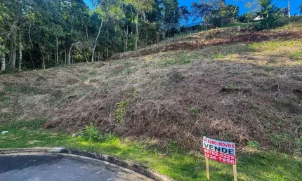 Terreno em condomínio fechado à venda na Rua Clorofila, Novo Horizonte, Juiz de Fora