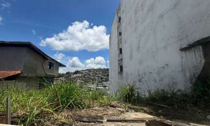 Terreno à venda no Martelos, Juiz de Fora 