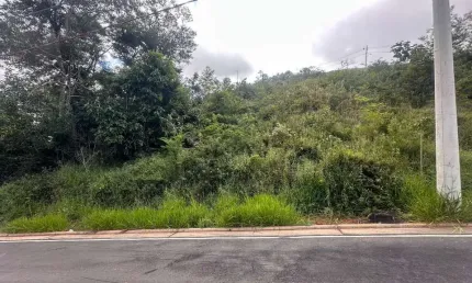 Terreno à venda na Estrada Domingos Hungaro, Salvaterra, Juiz de Fora