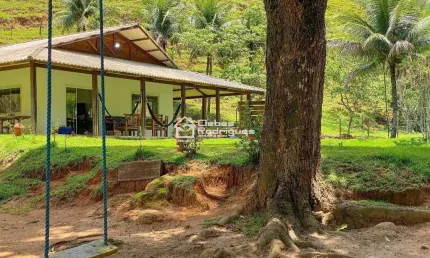 SÍTIO EM IGUAPE - 10 ALQUEIRES COM PASTO, MATA E INFRAESTRUTURA COMPLETA