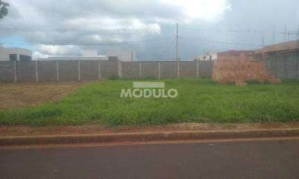 Terreno comercial para alugar na Avenida Victor Alves Pereira, --, Novo Mundo, Uberlândia