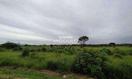 Terreno comercial para alugar na Rodovia BR-365, --, Conjunto Alvorada, Uberlândia