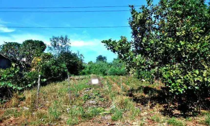 Terreno à venda na Rua Molibdênio, --, Dona Zulmira, Uberlândia