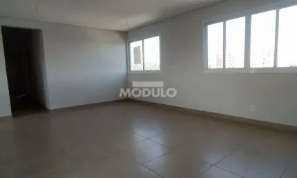 Cobertura com 3 quartos à venda na Rua Vinte e Nove de Outubro, --, Patrimônio, Uberlândia