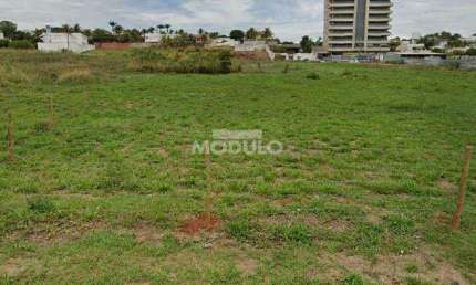 Terreno Comercial para Locação No Bairro Morada da Colina