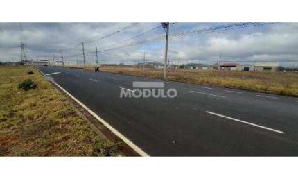 Terreno comercial para alugar na Avenida Aldo Borges Leão, --, Jardim Canaã, Uberlândia