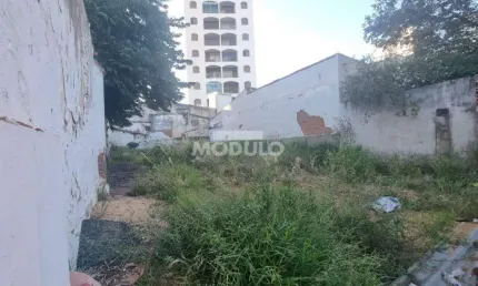 Terreno comercial para alugar na Rua Barão de Camargos, --, Centro, Uberlândia