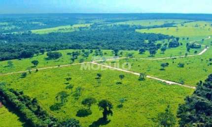 CHÁCARA à venda, 1 quarto, CHACARAS ELDORADO - Uberlândia/MG
